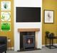 Bio Ethanol Stove Charcoal Black Stove 1 Bio Fuel No Chimney Needed