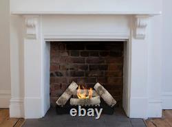 Biofuel fireplace insert FENIKS