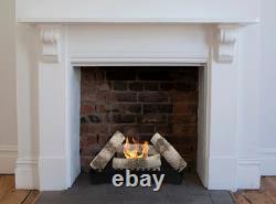Biofuel fireplace insert FENIKS