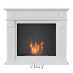 November Bio Portal Fireplace Glass Included Biofireplace