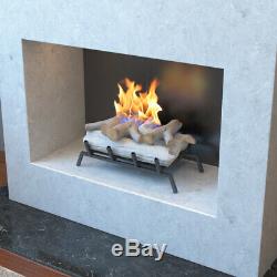 Regal Flame Birch 18 Bio Ethanol Ventless Fireplace Convert Gas Log Insert Set