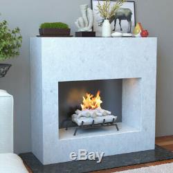 Regal Flame Birch 18 Bio Ethanol Ventless Fireplace Convert Gas Log Insert Set