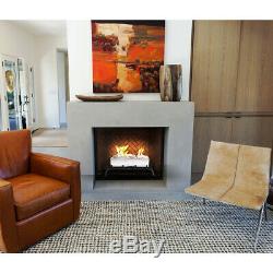 Regal Flame Birch 18 Bio Ethanol Ventless Fireplace Convert Gas Log Insert Set