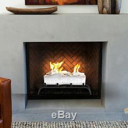 Regal Flame Birch 18 Bio Ethanol Ventless Fireplace Convert Gas Log Insert Set