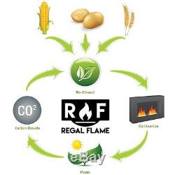 Regal Flame Birch 18 Bio Ethanol Ventless Fireplace Convert Gas Log Insert Set