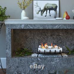 Regal Flame Birch 18 Bio Ethanol Ventless Fireplace Convert Gas Log Insert Set