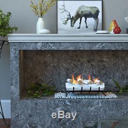 Regal Flame Birch 18 Bio Ethanol Ventless Fireplace Convert Gas Log Insert Set