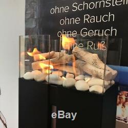 TÜV Geprüft Feuerstelle Biokamin Bioethanol Kamin mit Deko Holz Birken mit Glas