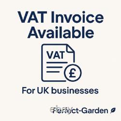 Wall Mounted Ethanol Fireplace Silver Stainless Steel 78cm x 15cm x 54cm New