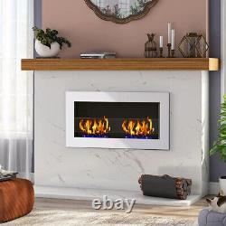 Wall Mounted/Insert Bio Ethanol Fireplace with Glass Professional Biofire Burner